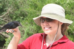 peggy-kuhn-and-groove-billed-ani